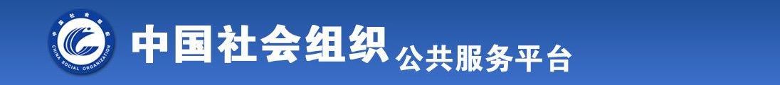 操屄的视频与小说全国社会组织信息查询